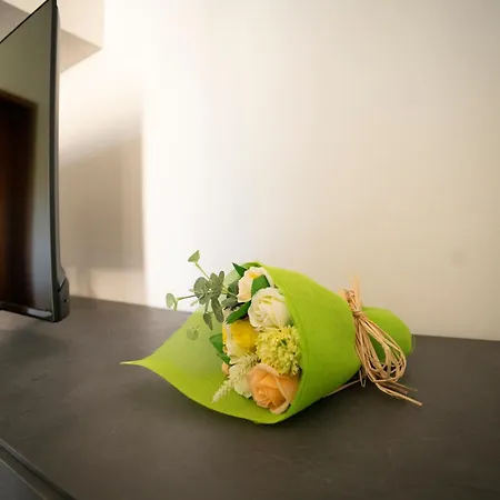 Penta House Appartement *